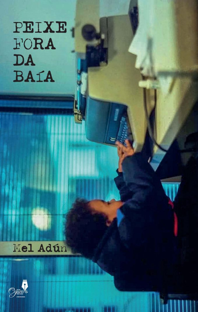 Peixe fora da Baia